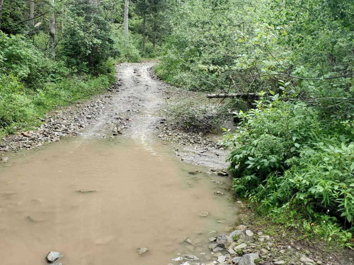Pioneer Creek photo 2