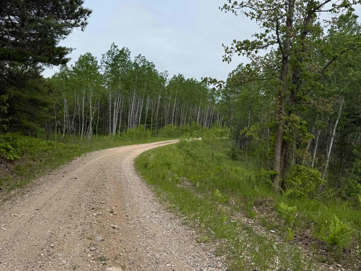 Crofton Road Trail photo 6