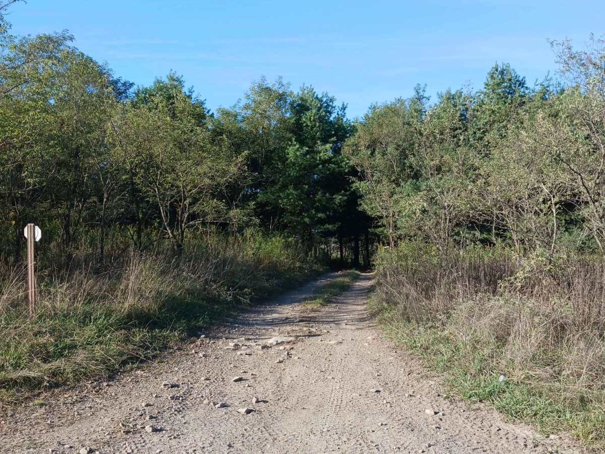 Inner Loop - West - Rock Run Recreation Area photo 3