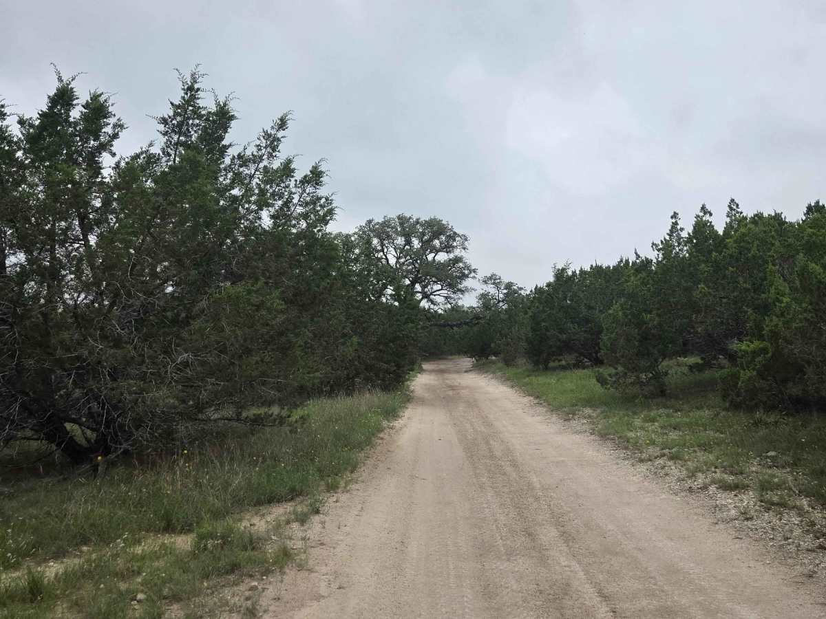 Vista ATV/UTV photo 4