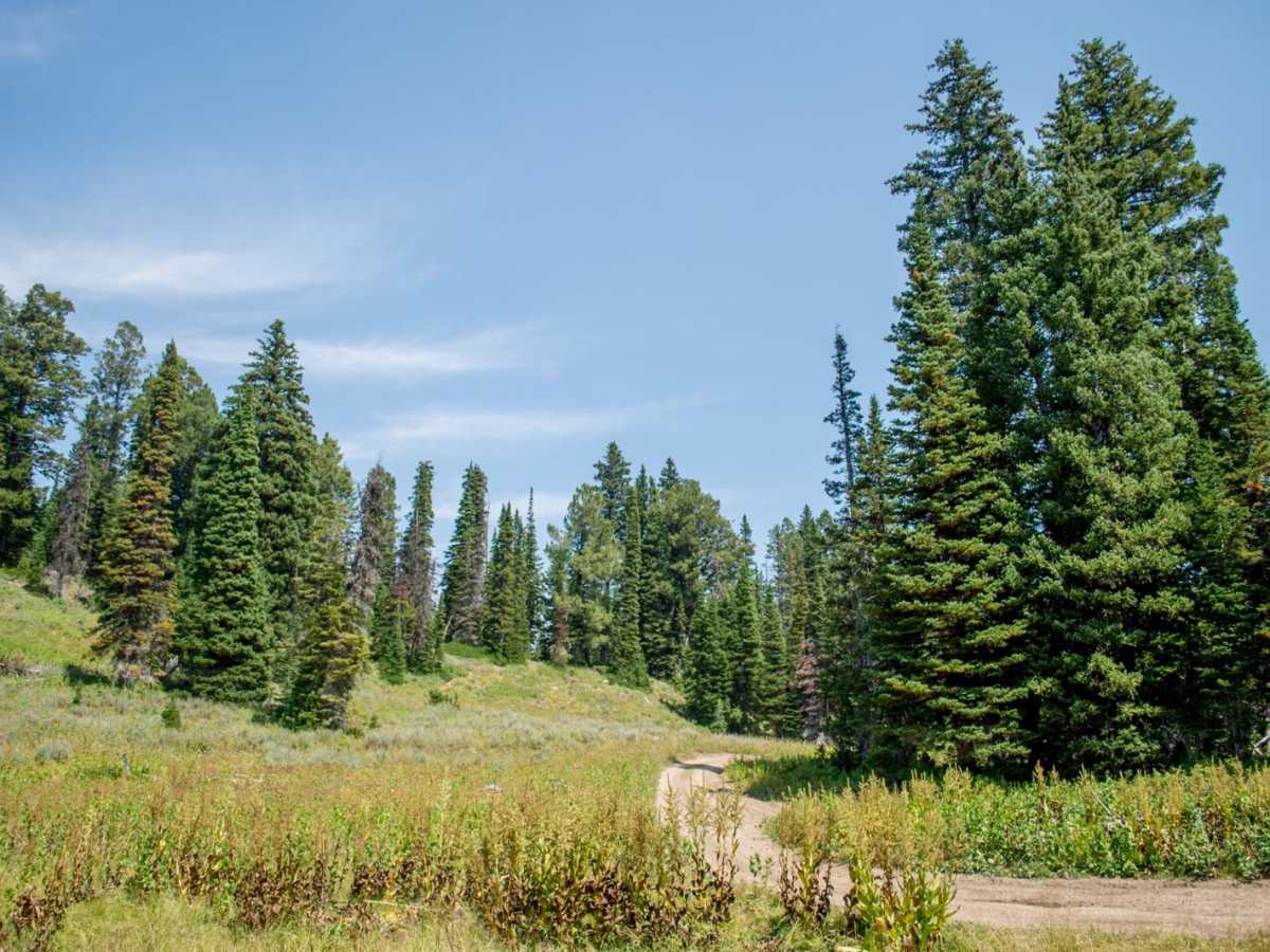 Gibson Lakes photo 4