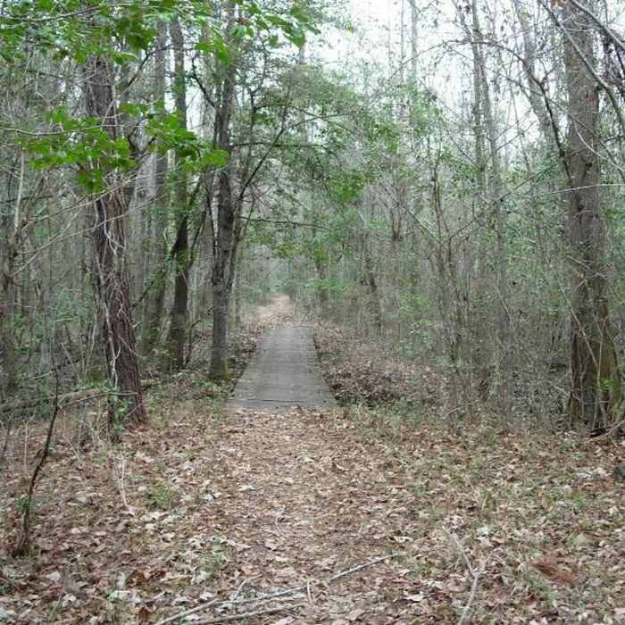 Palmetto Trail travels through beautiful country. Near Palmetto Trail (Halfway Creek Rd) Mile Marker 6-12