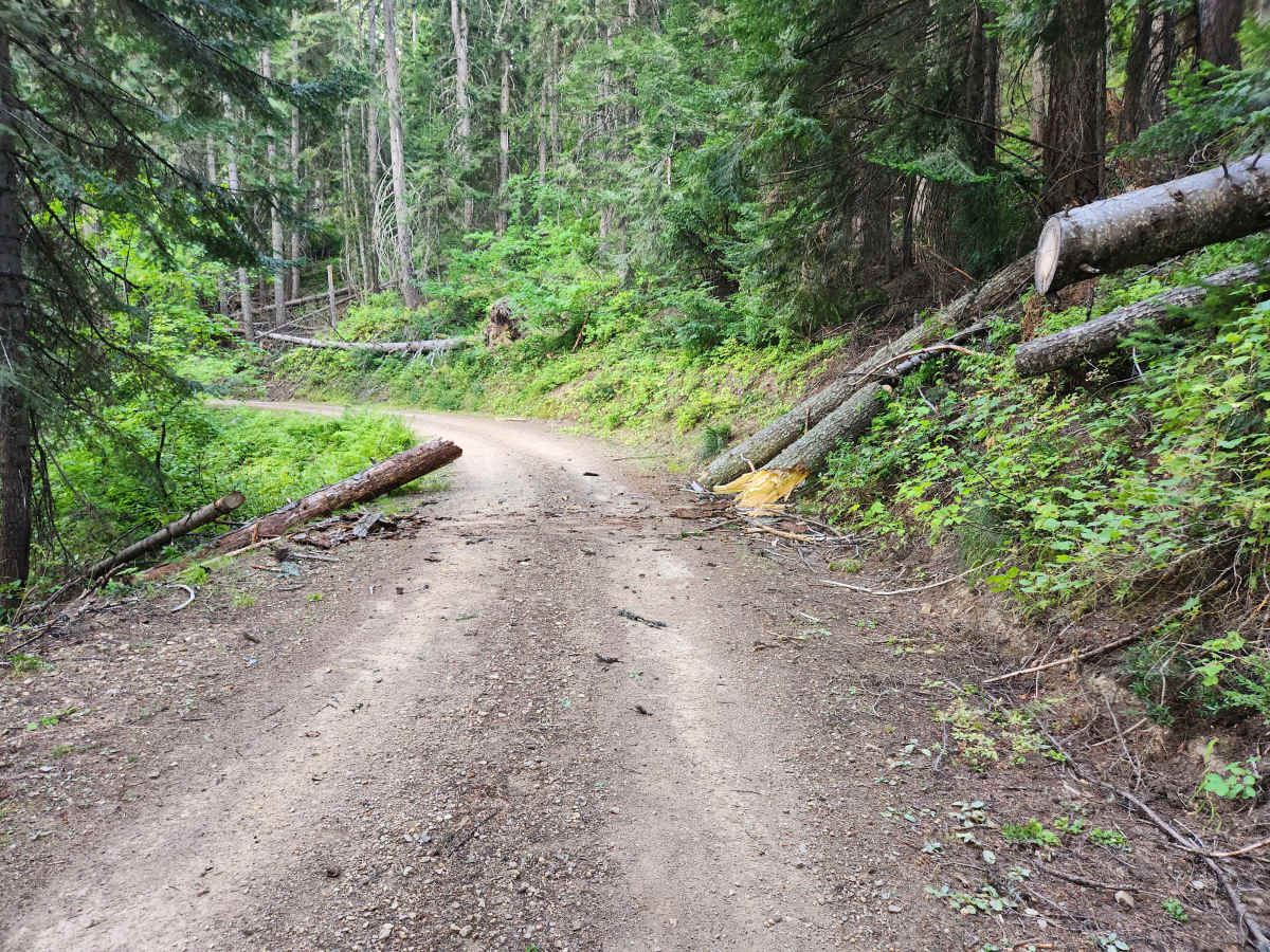 Sex Ridge Road photo 4