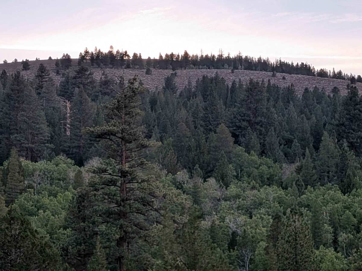 Willow Flat Road Burt Canyon - FS 32066C photo 2