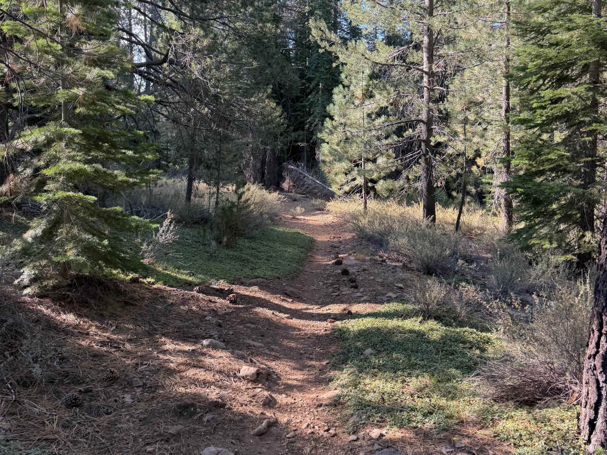 06-08 East Moto Trail photo 2