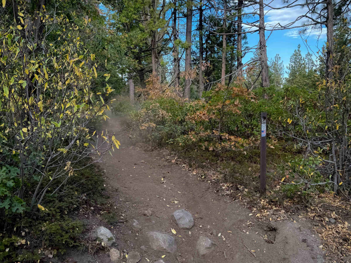 Omega Overlook (#54)  photo 6