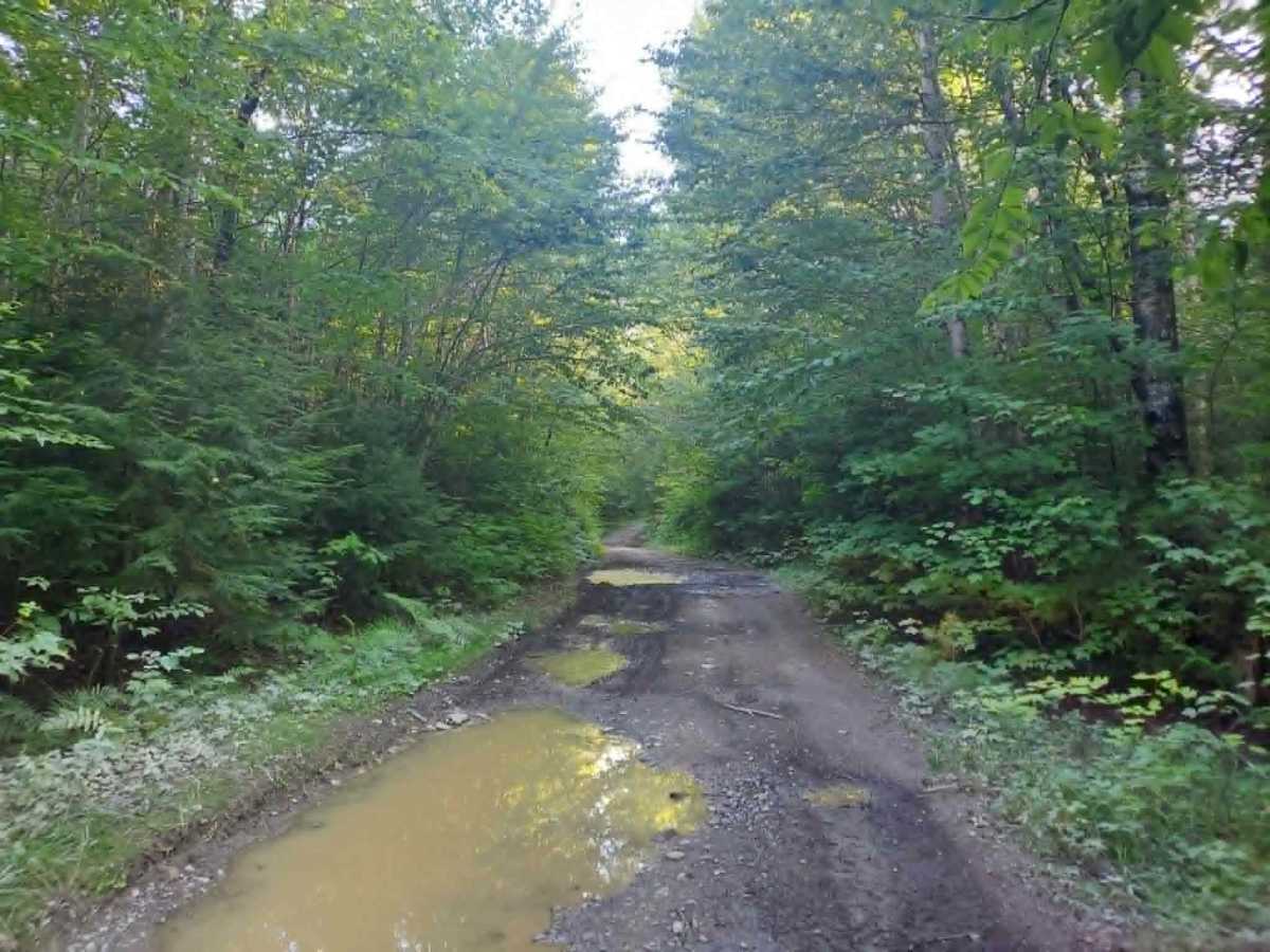 Big Brook Road photo 4
