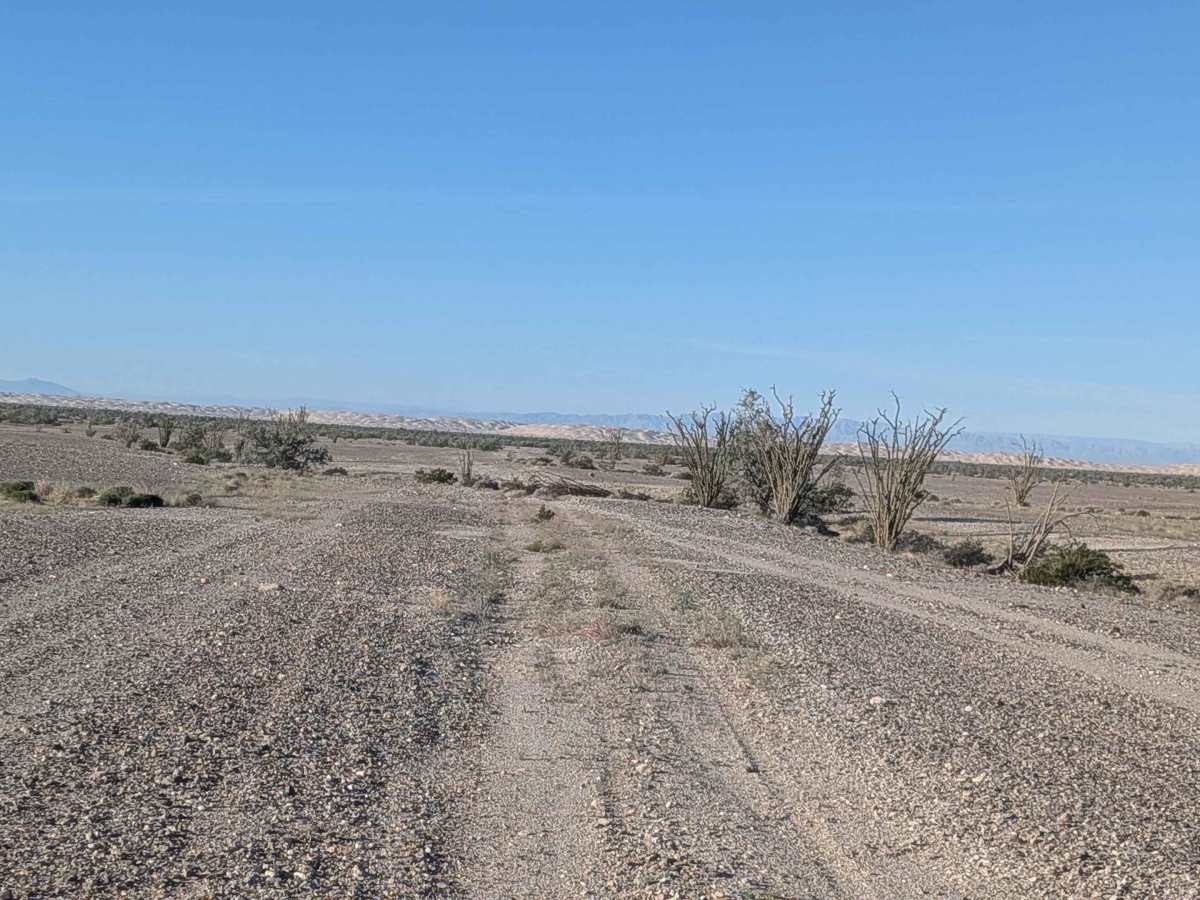 BLM 702 photo 5