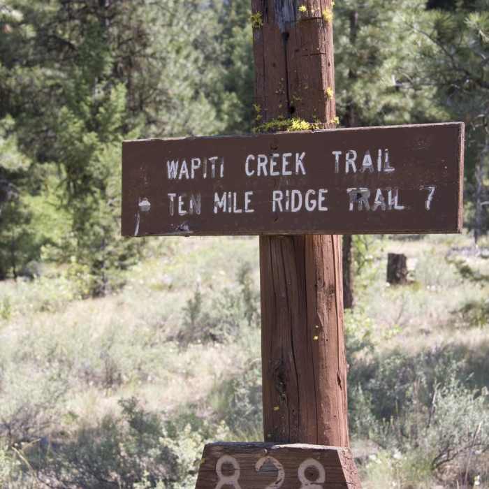 Near Waipiti Ridge Trail