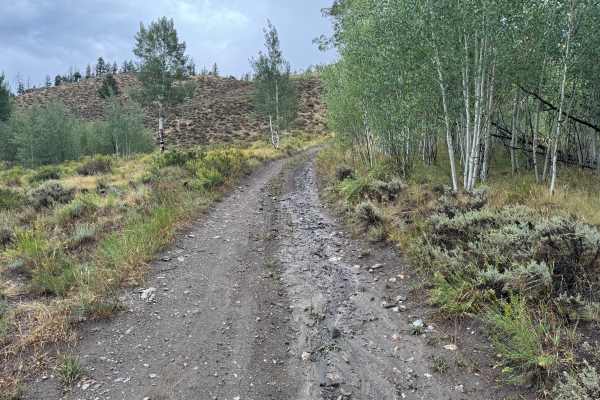 Willow Creek Mine Road