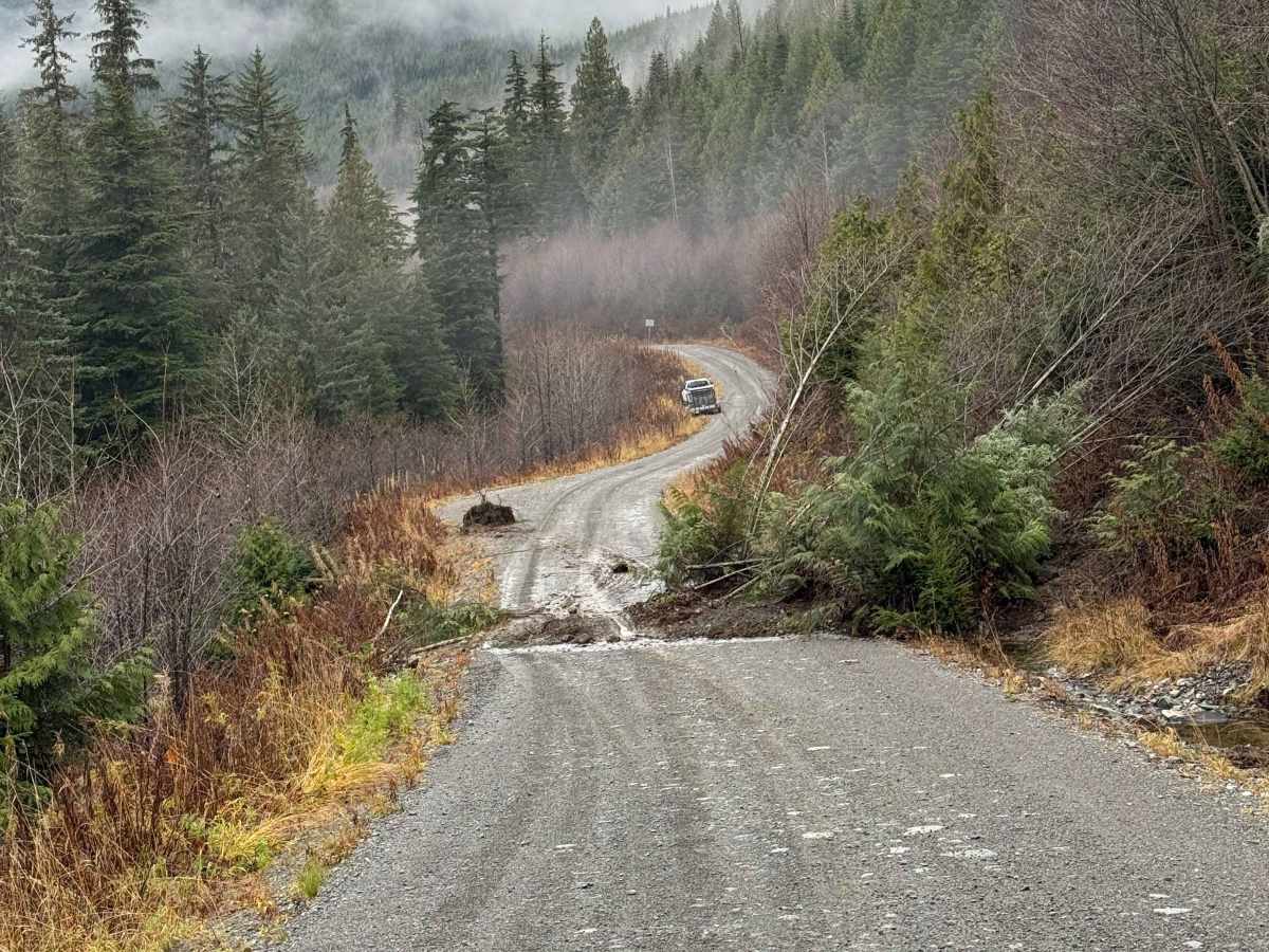 Upper Kitimat Road photo 4