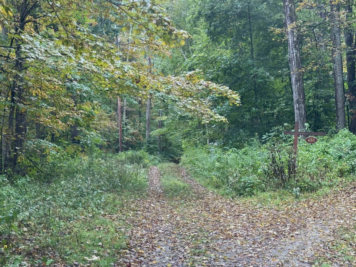 Benedict Trail trail photo
