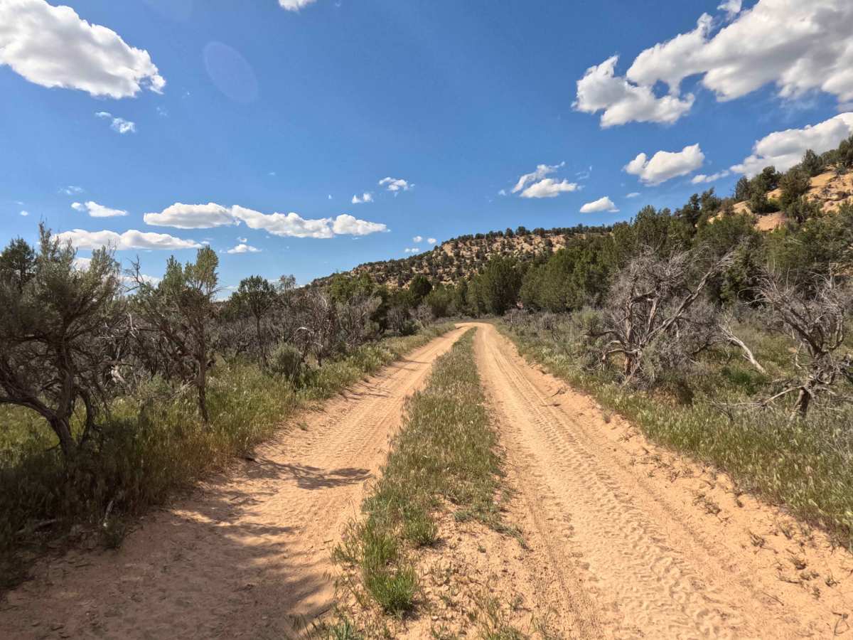 BLM 47 photo 6