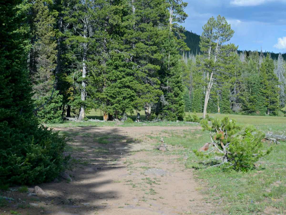 Trout Creek Peak to Lost Park - FS 55 photo 4