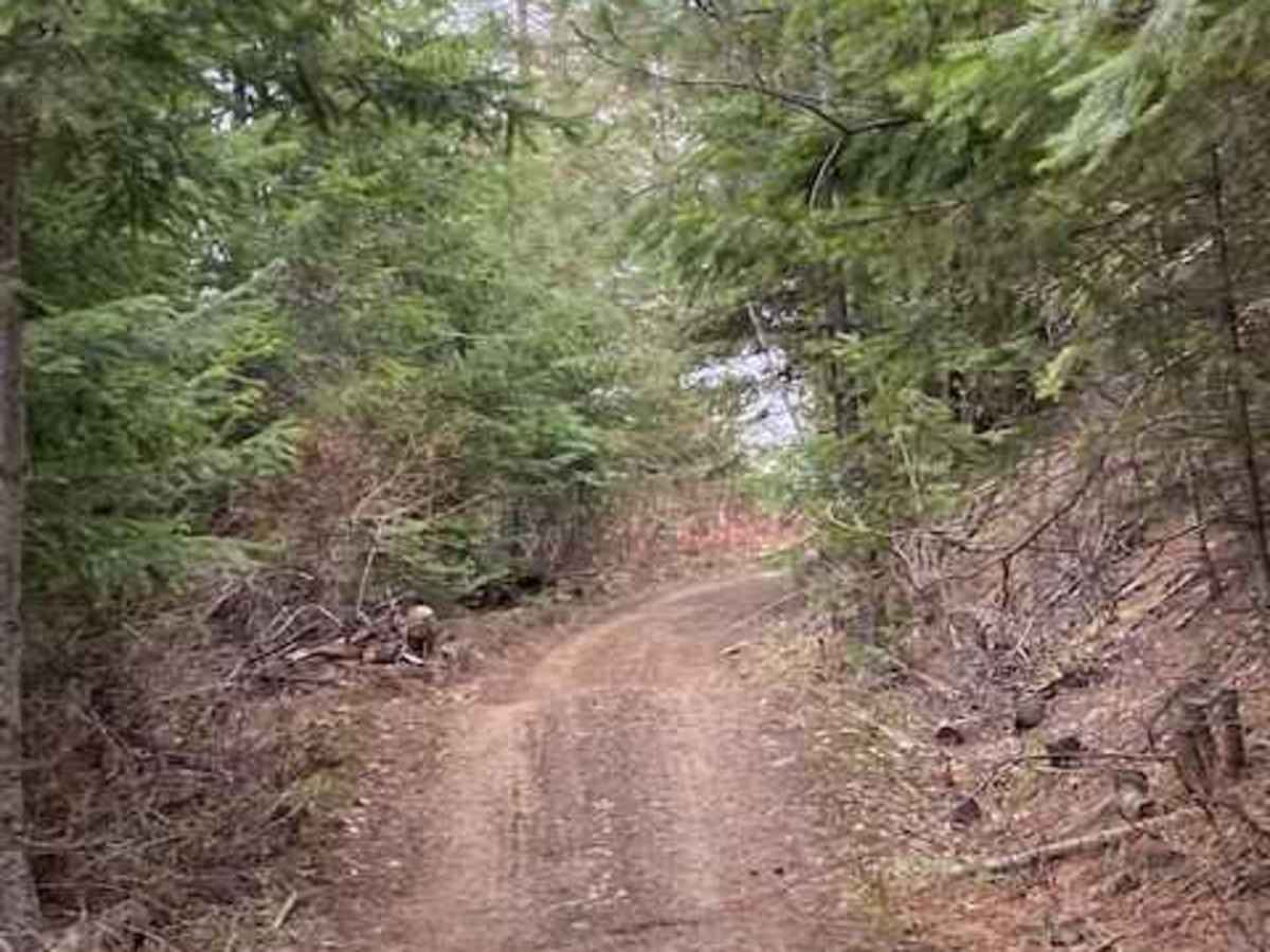 Kiawa Creek Trail photo 4