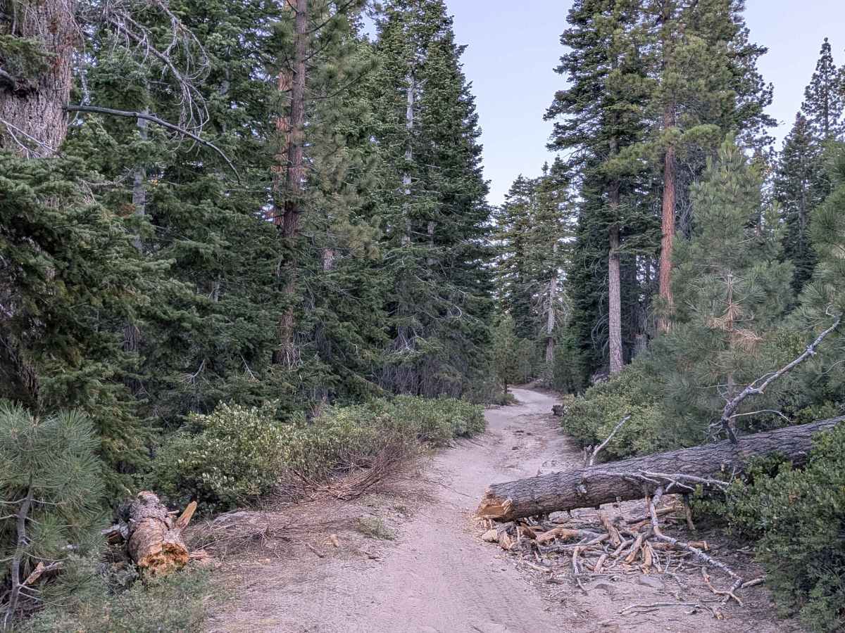 Forest Service Road 3S121A photo 5