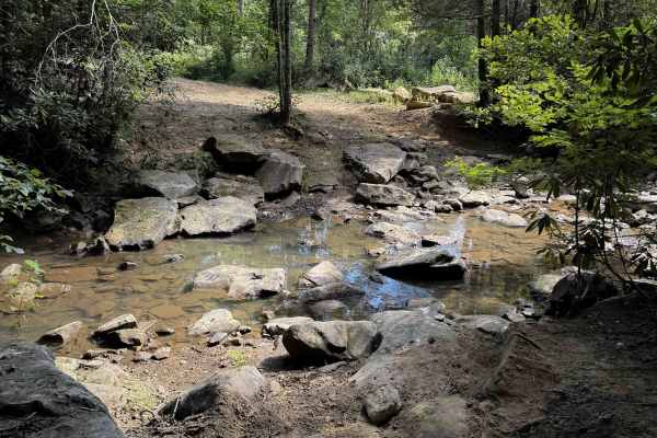 Ollie’s Creek Trail 2