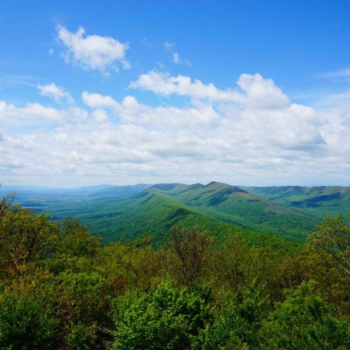 Near Kennedy Peak Out-and-Back