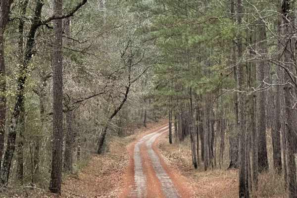 Midyett Road