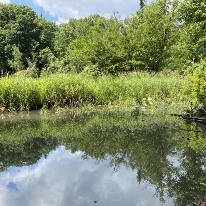 Near Pocantico Park Loop