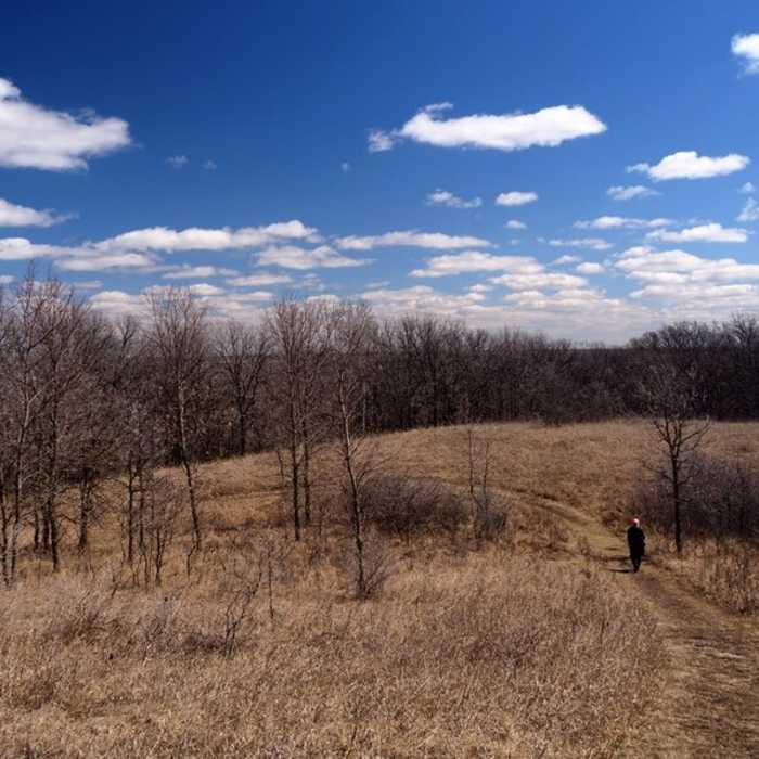 Near High Peaks Trail