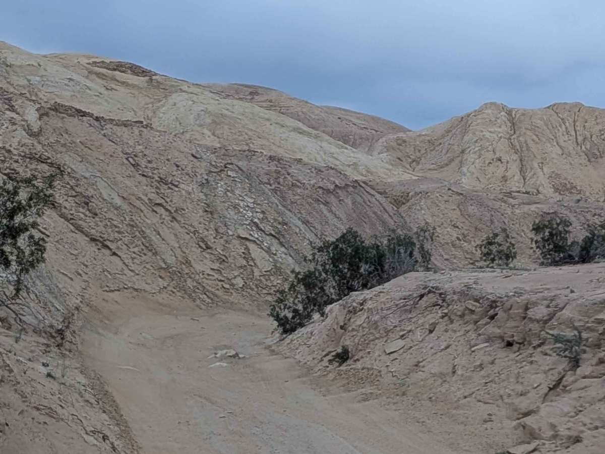 BLM 173 photo 4