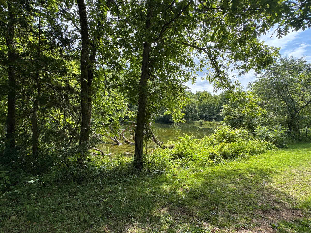 Devil's Well Road photo 3