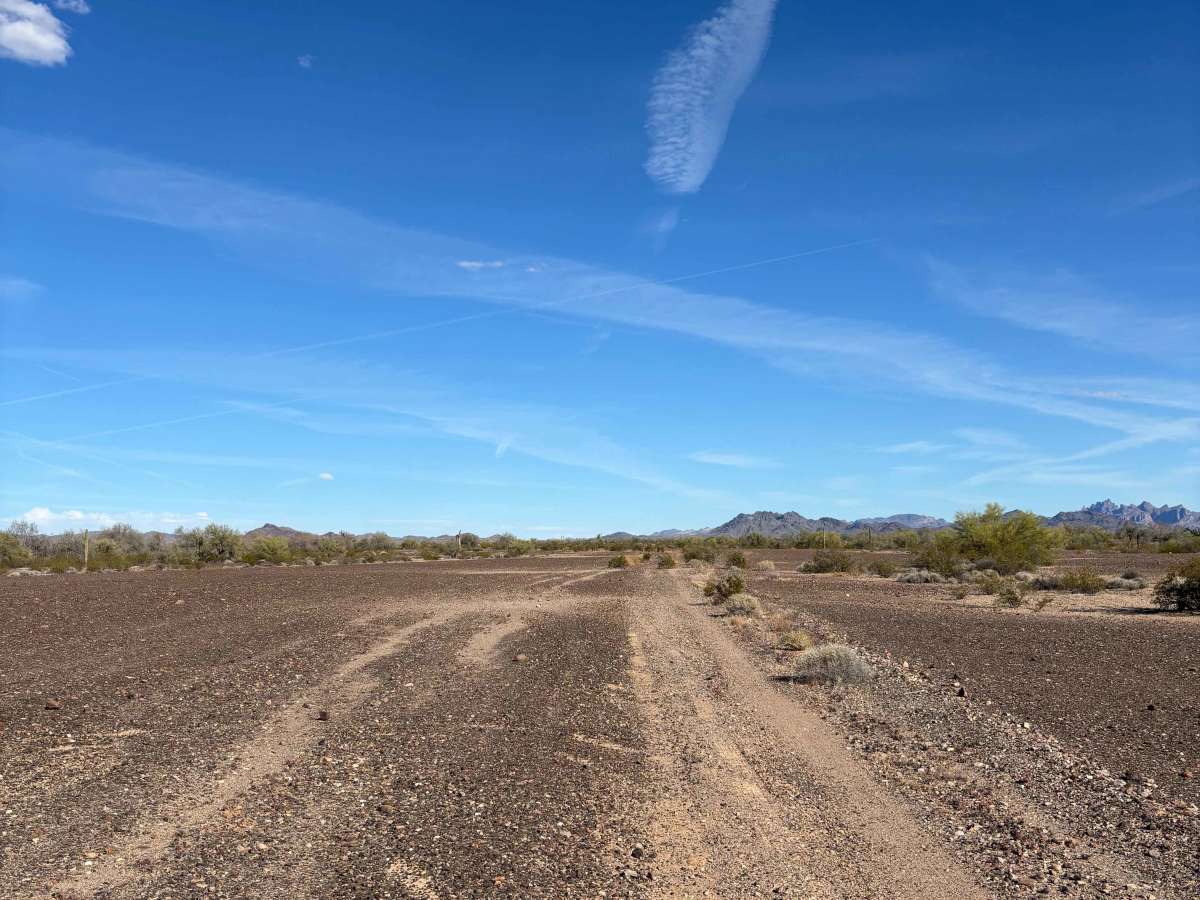 BLM 0102C photo 3
