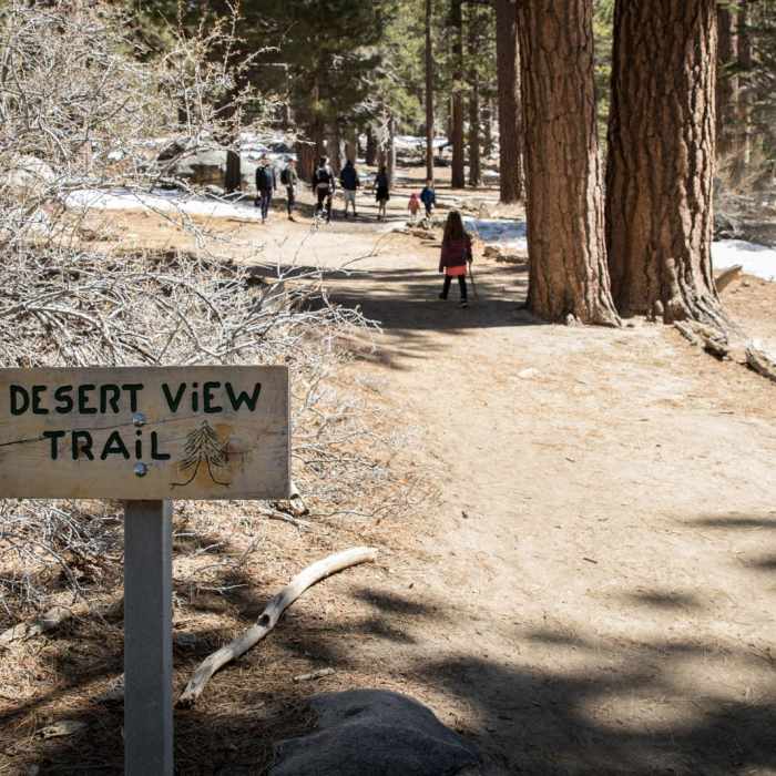 Near Desert View Trail