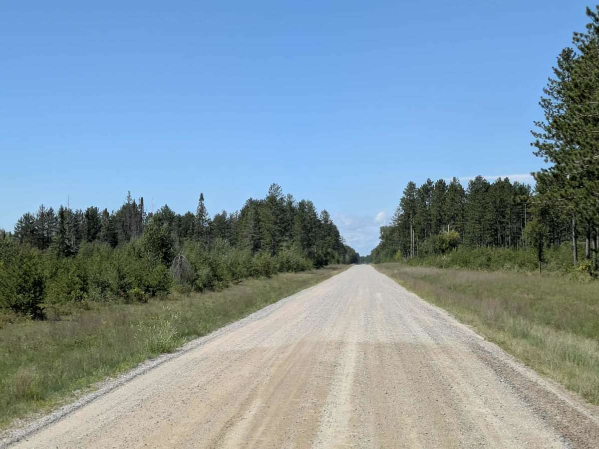 Thompson Forest Road  photo 3
