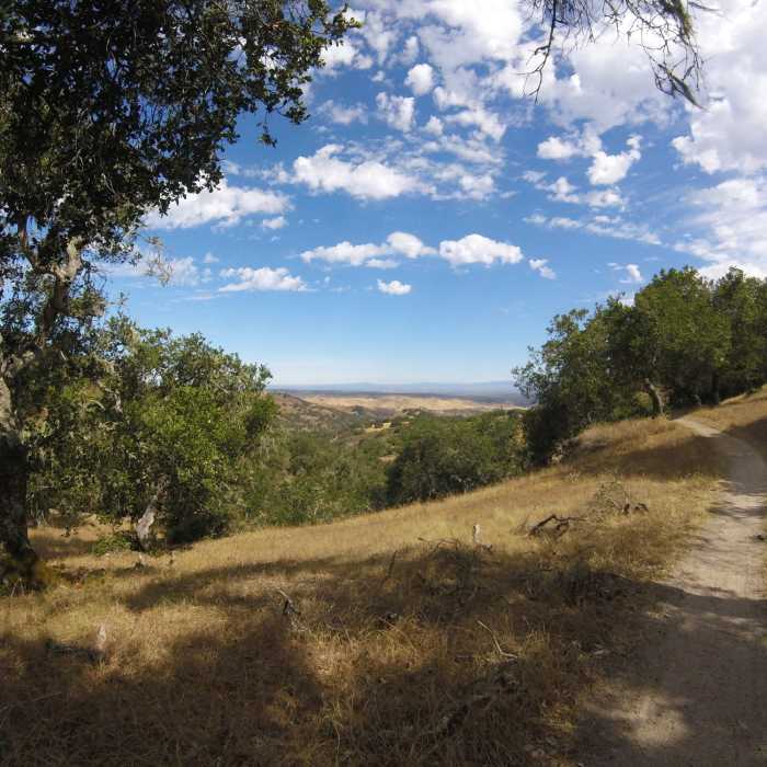 Near Toro Park Easy Loop