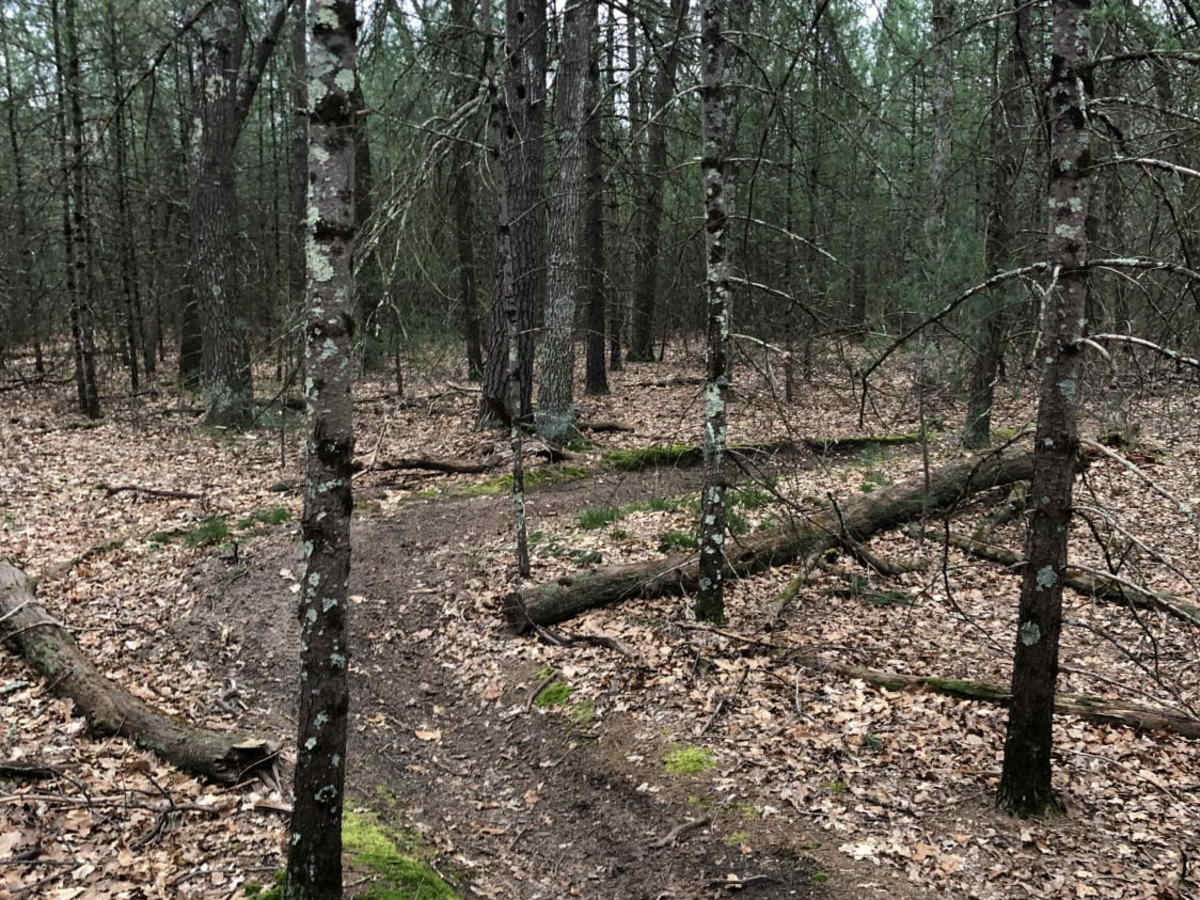 Holton Loop Motorcycle Trail photo 5