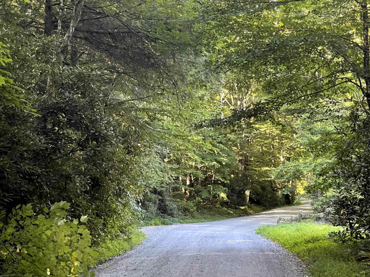 Flannary Fork Road trail photo