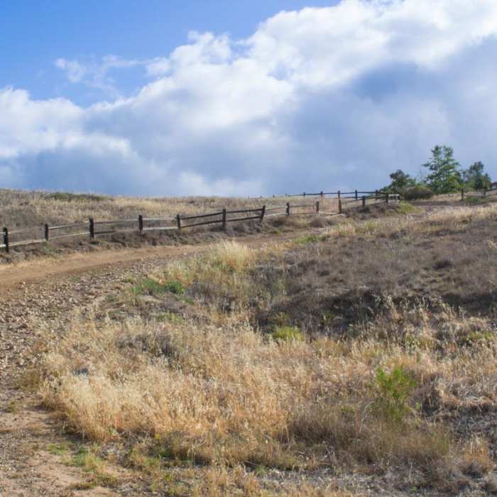 Near Los Penasquitos Canyon Preserve