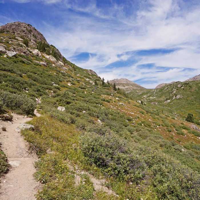 Near Linkins Lake Trail