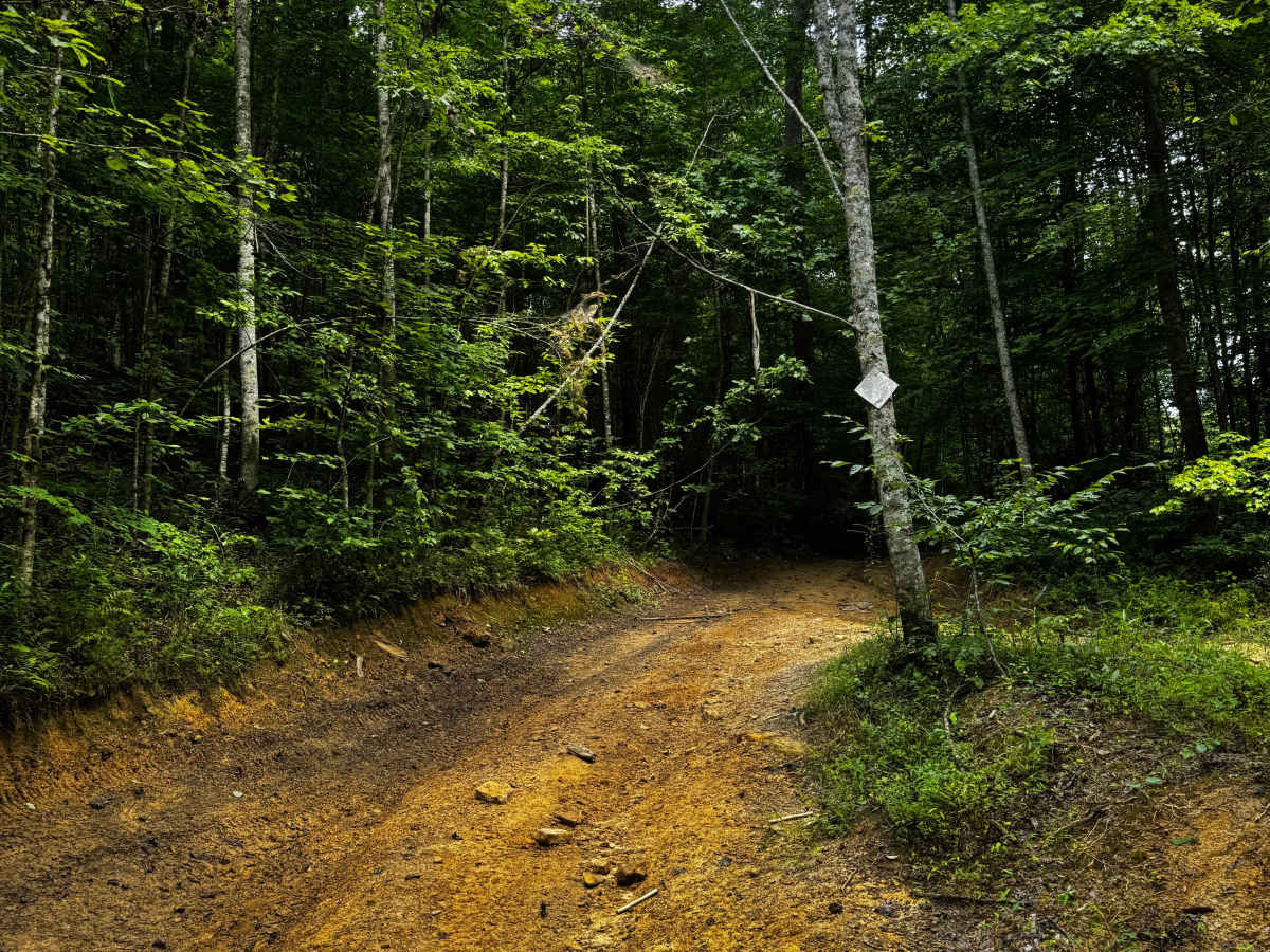Trail 8A photo 2