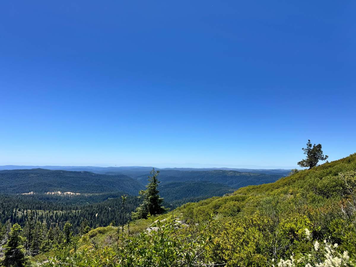 Saddleback Lookout - FS 25 photo 4