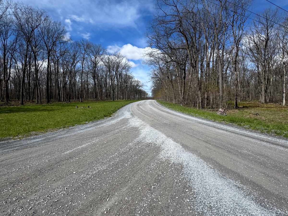 Four Mile Road photo 6
