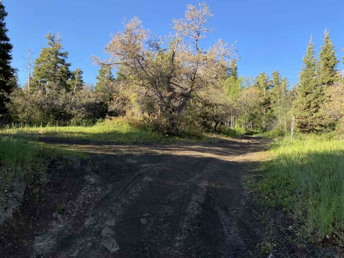 Browns Hole Trail photo 5