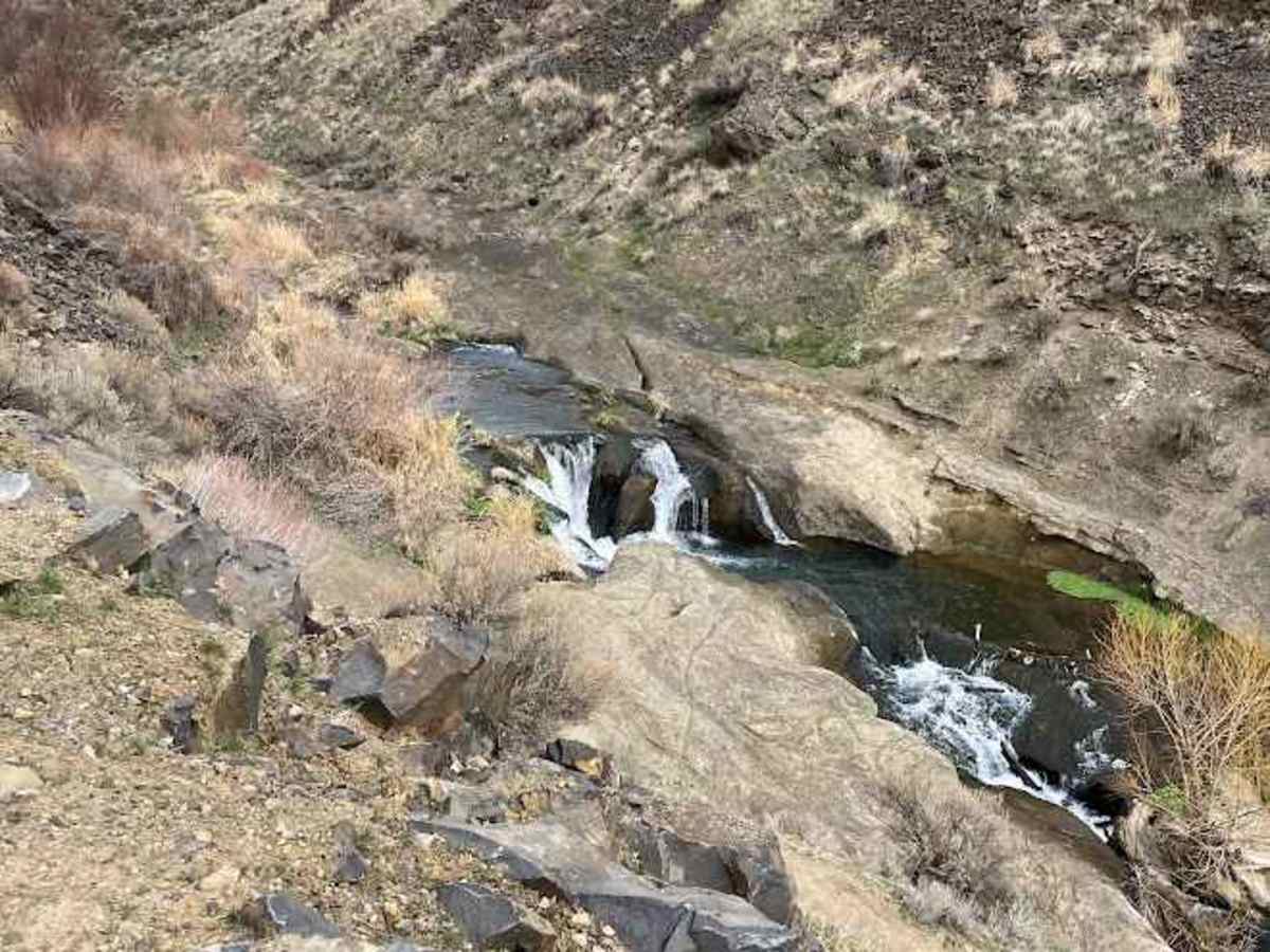 Douglas Creek Falls photo 5