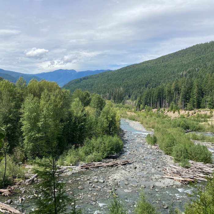 Looking out at the Elwha. Near Long Ridge Trail
