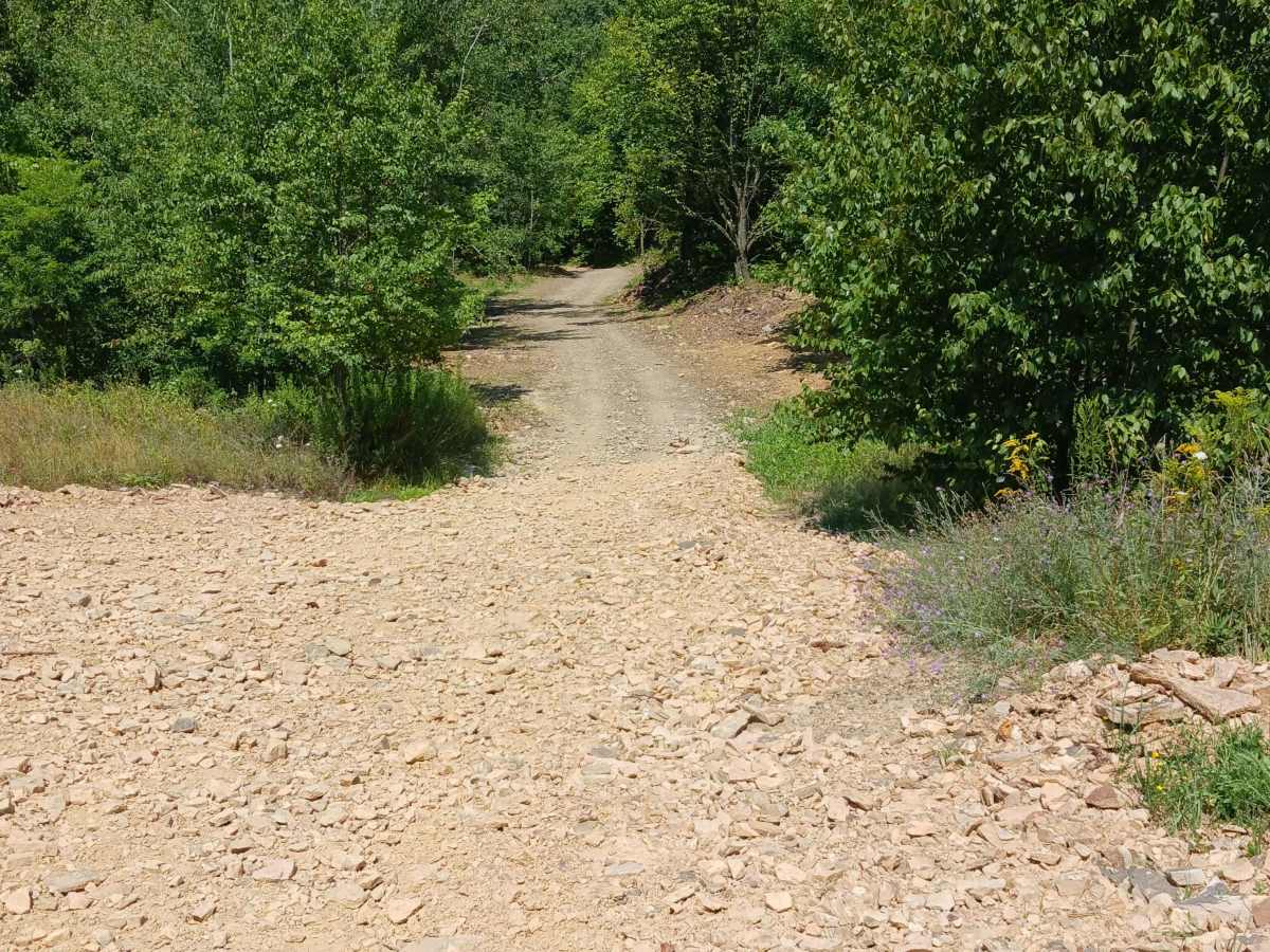 Coyote Pass Trail photo 2