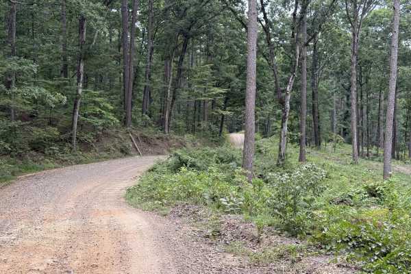 Polk County Road 79