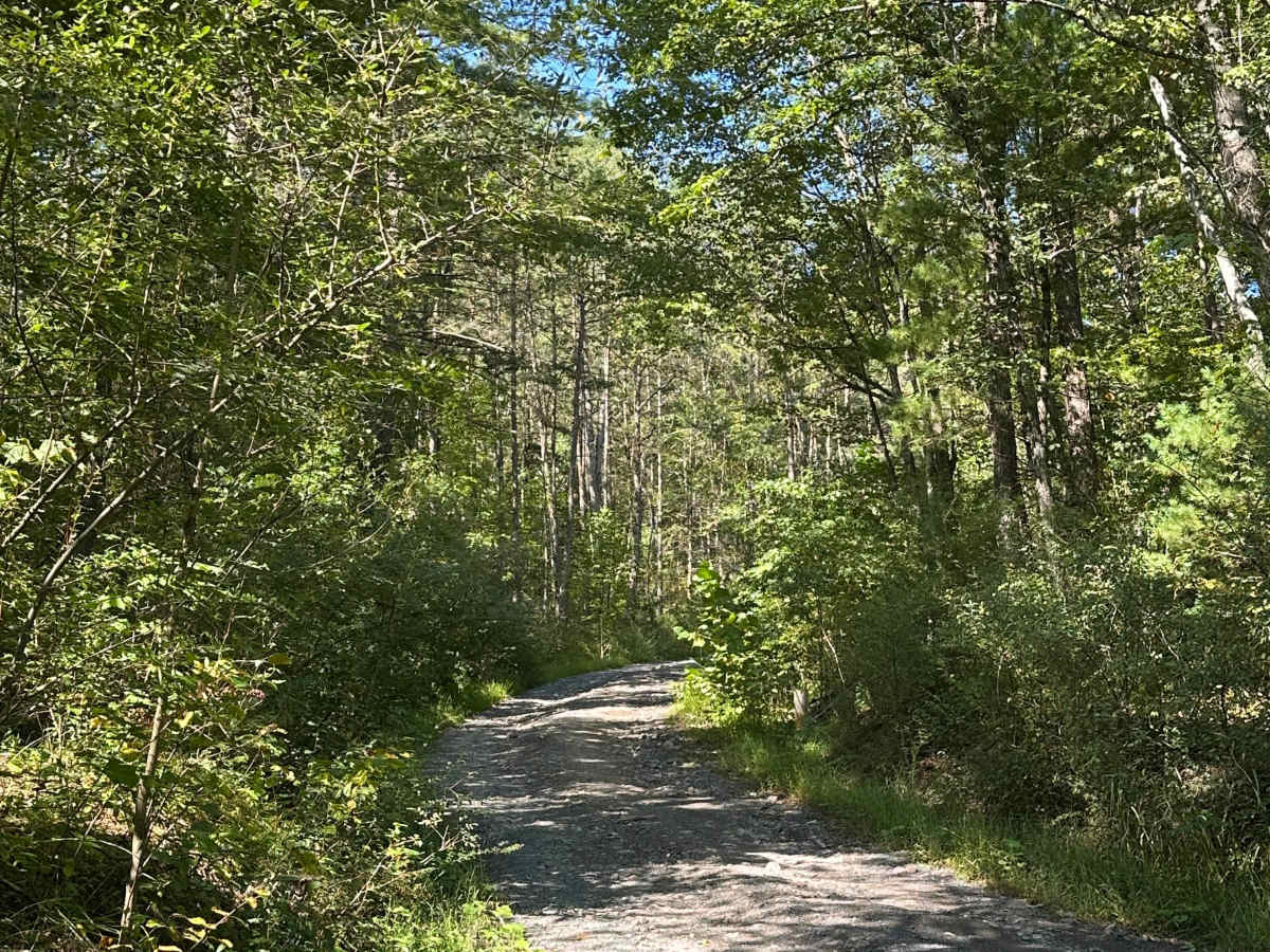 Little River trail photo
