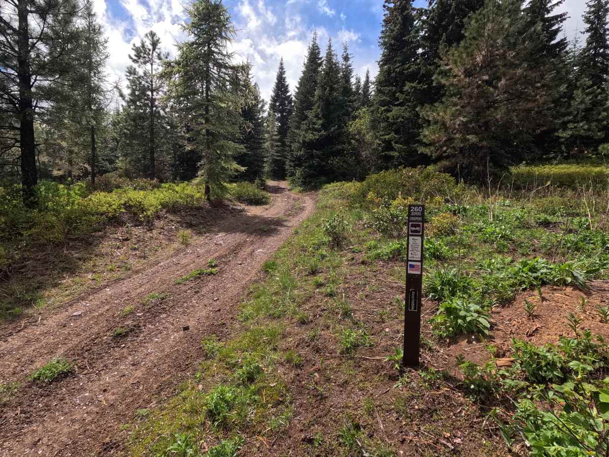 Jeepers Creepers - Trail 260 trail photo