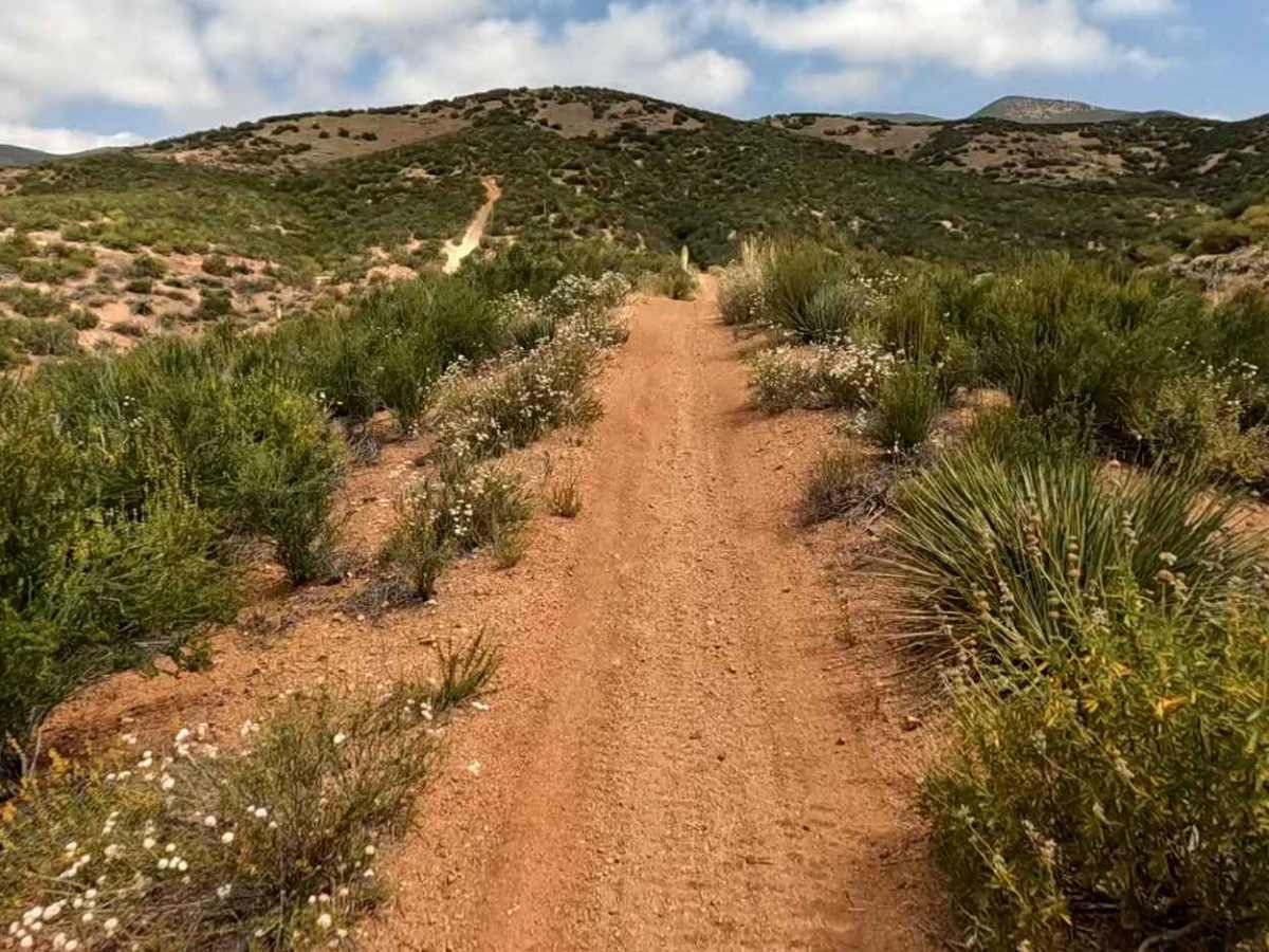 Broken Spoke OHV Trail photo 2