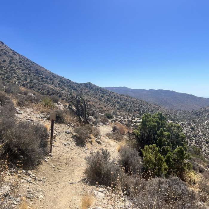 Near Black Rock Campground to Ryan Camp