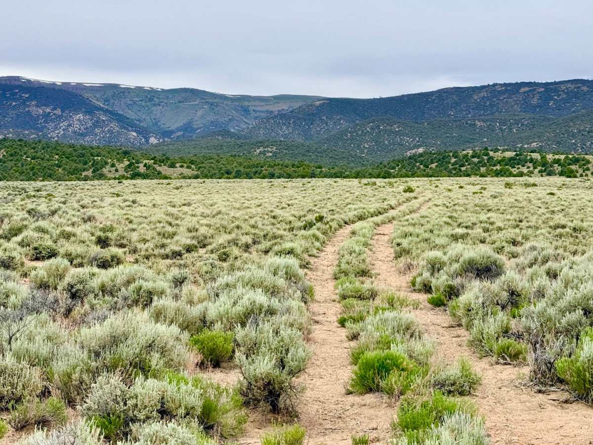 Wagon John’s Ranch - FS 44448 trail photo