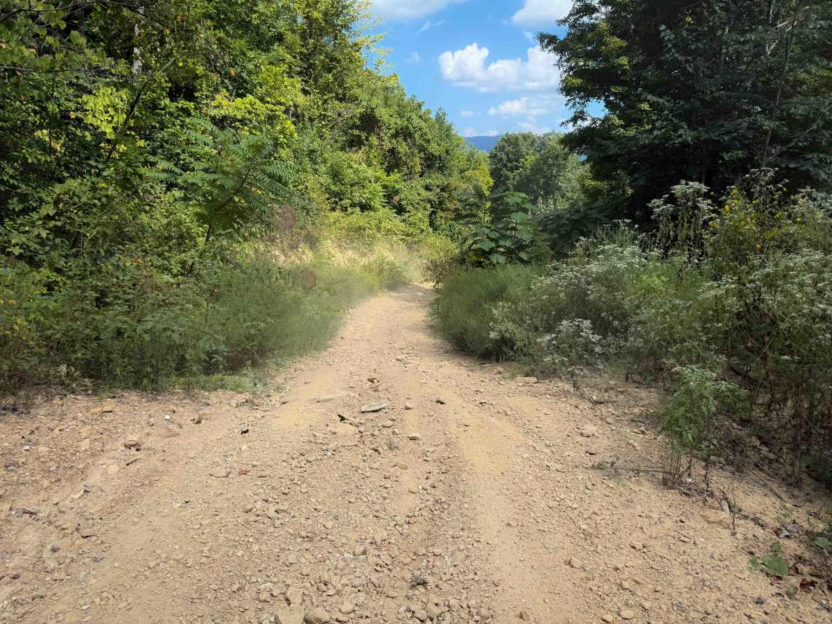 Shack Creek Road   photo 6