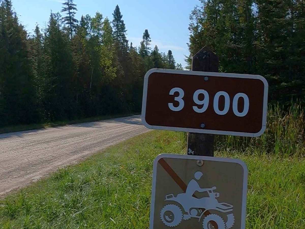 Interstate 75 Access South - FS 3900 trail photo